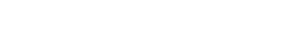 Bison Ventures logo